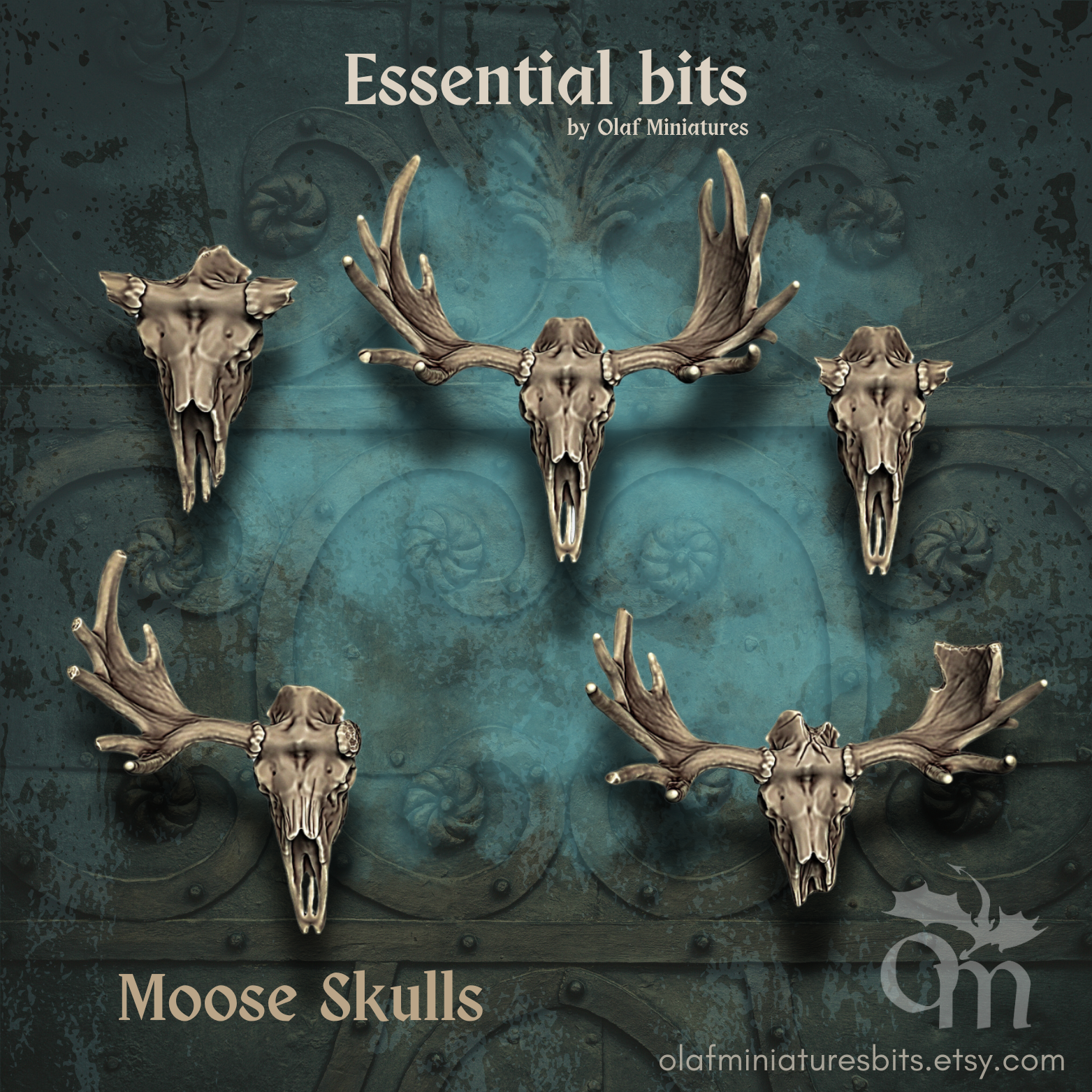 Moose skulls